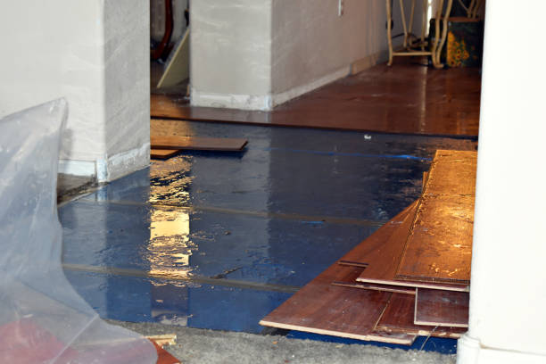 Professional Basement Flood Cleanup technician working in Philadelphia, MS